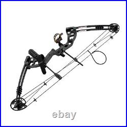 Compound Bow Kit with 12 Arrows Right Hand Archery Hunting Set Black 30-55lbs US