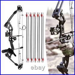 Compound Bow Kit with 12 Arrows Right Hand Archery Hunting Set Black 30-55lbs US