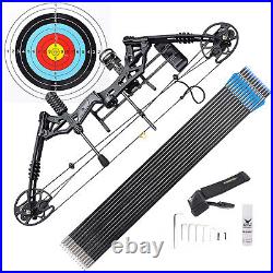 Pro Compound Right Hand Bow Kit 30-70lbs Arrow Archery Target Hunting Black Set