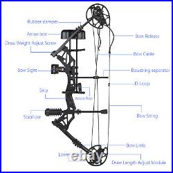 Pro Compound Right Hand Bow Kit 30-70lbs Arrow Archery Target Hunting Black Set